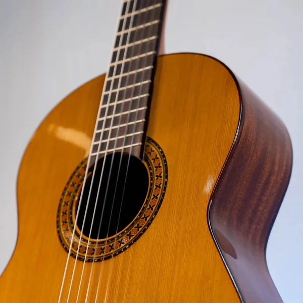 Guitare Alvaro AL45