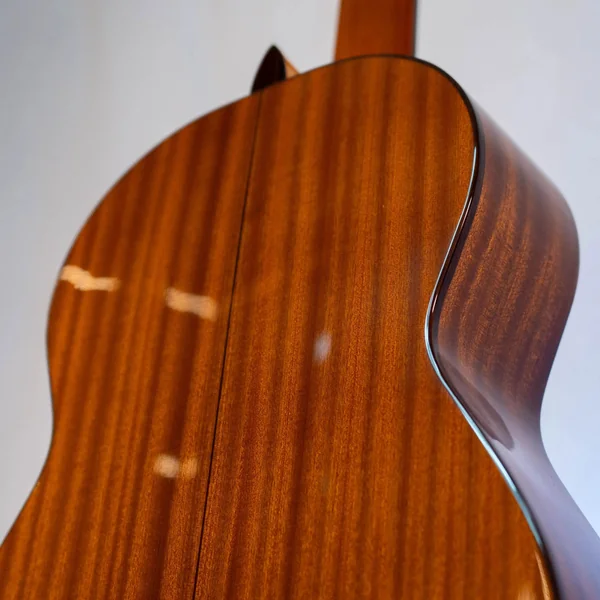 Guitare Alvaro AL45