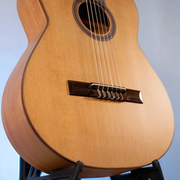 Guitare Alvaro AL50