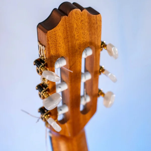 Guitare Alvaro AL50