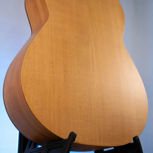 Guitare Alvaro AL50