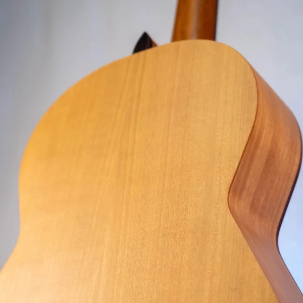 Guitare Alvaro AL50