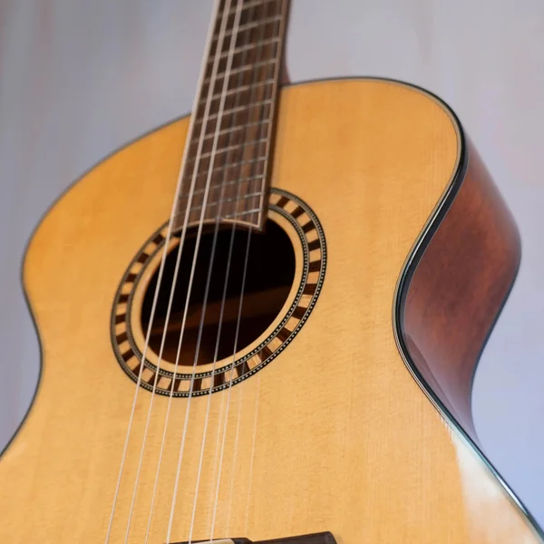 Guitare Andrew White Cybelle 300