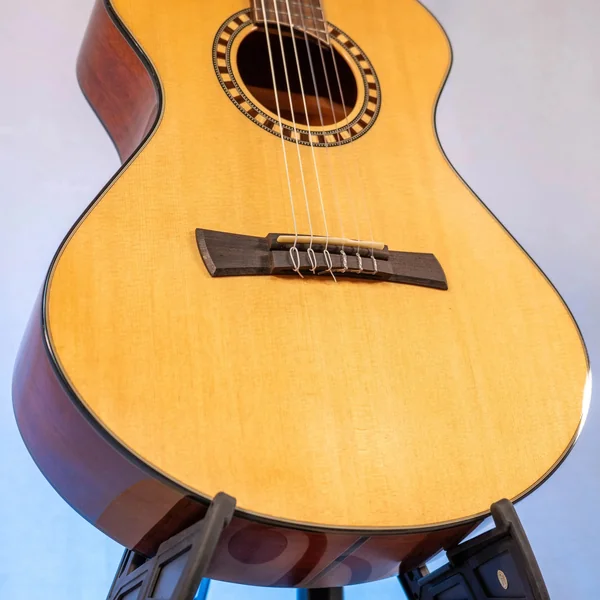 Guitare Andrew White Cybelle 300