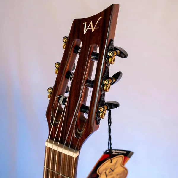 Guitare Andrew White Cybelle 300