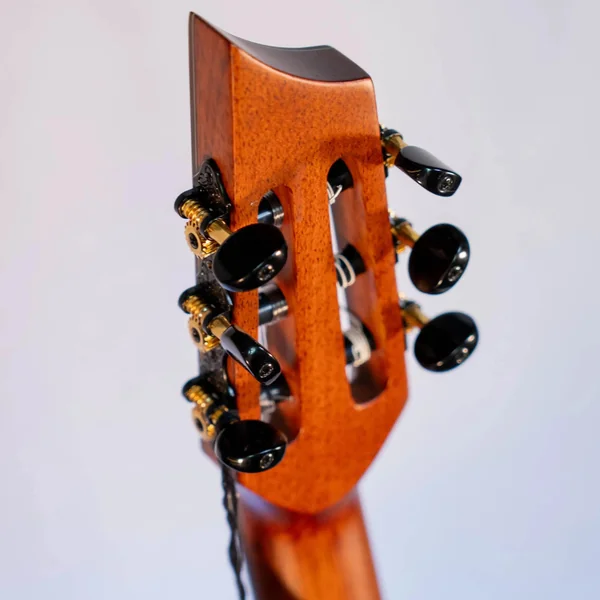 Guitare Andrew White Cybelle 300