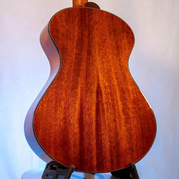 Guitare Andrew White Cybelle 300