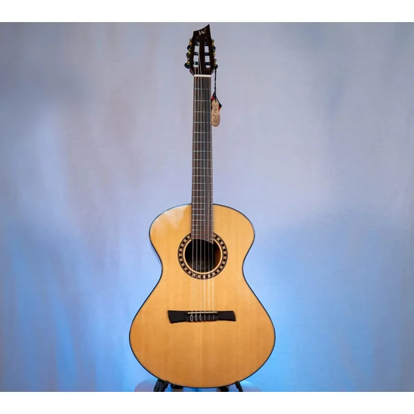 Guitare Andrew White Cybelle 300