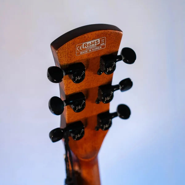 Guitare Andrew White EOS acajou