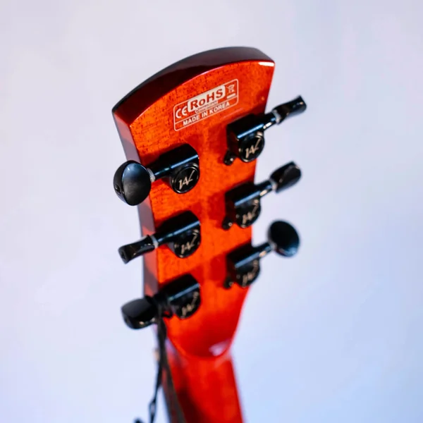 Guitare Andrew White Freja