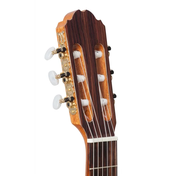 Guitare Classique KREMONA BASIC FIESTA F65S 4/4 - SPRUCE MASSIF / PALISSANDRE