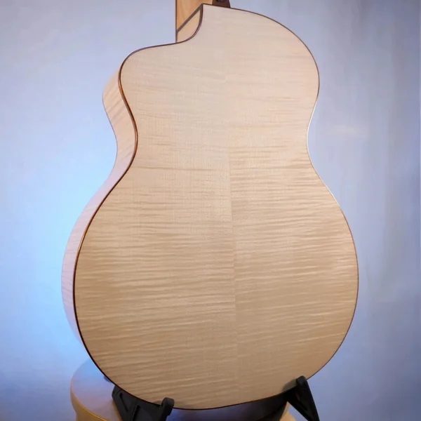 Guitare Dowina Acero GACE