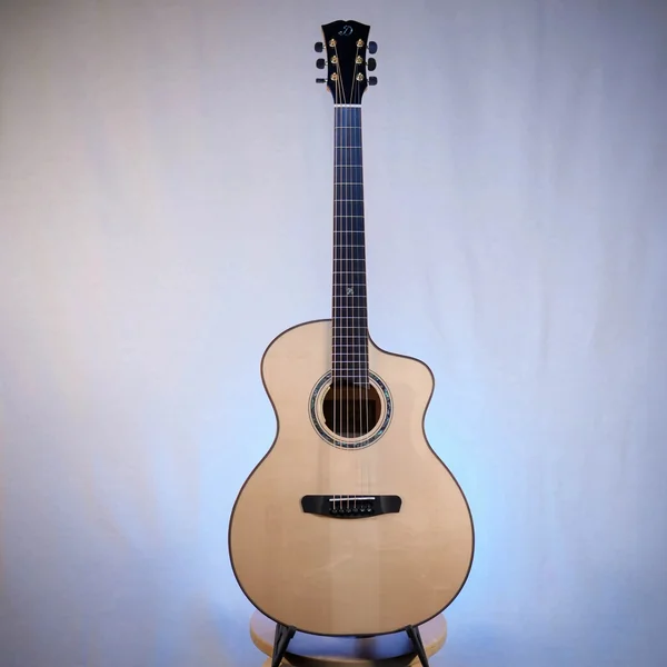 Guitare Dowina Acero GACE