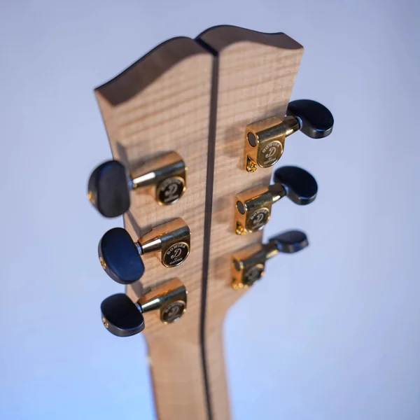 Guitare Dowina Acero GACE