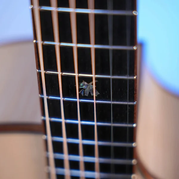 Guitare Dowina Acero GACE