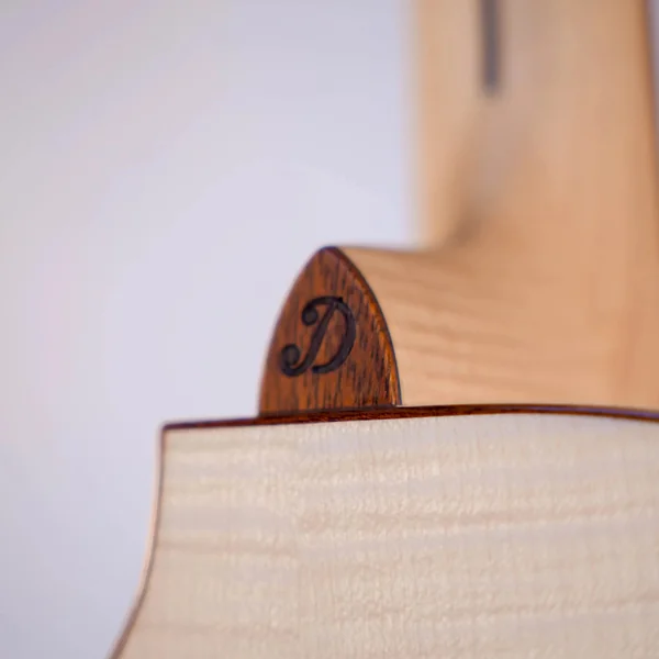 Guitare Dowina Acero GACE