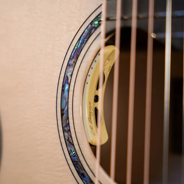 Guitare Dowina Acero GACE