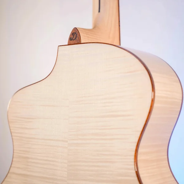 Guitare Dowina Acero GACE