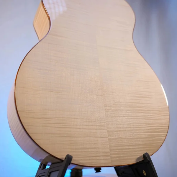 Guitare Dowina Acero GACE