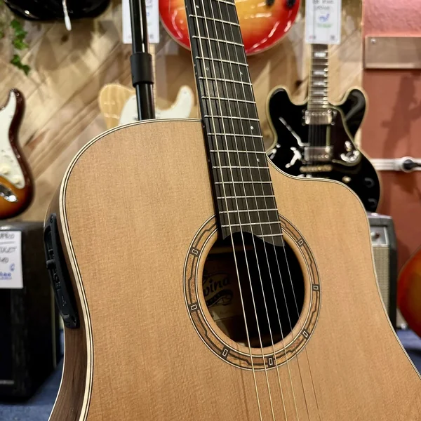Guitare Dowina Chardonnay DCE