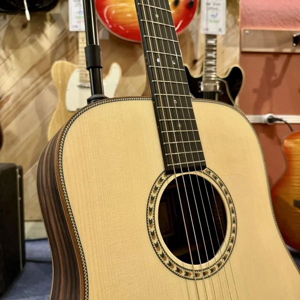 Guitare Dowina Danubius D