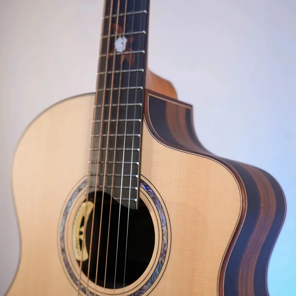 Guitare Dowina Ebony X GACE