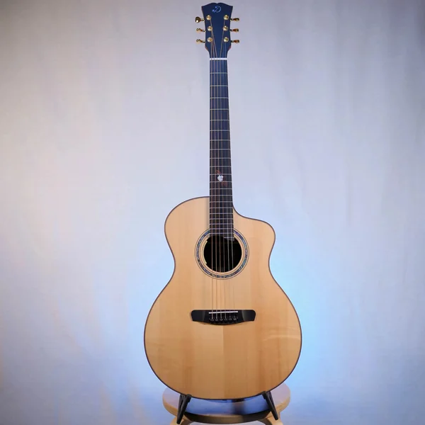 Guitare Dowina Ebony X GACE