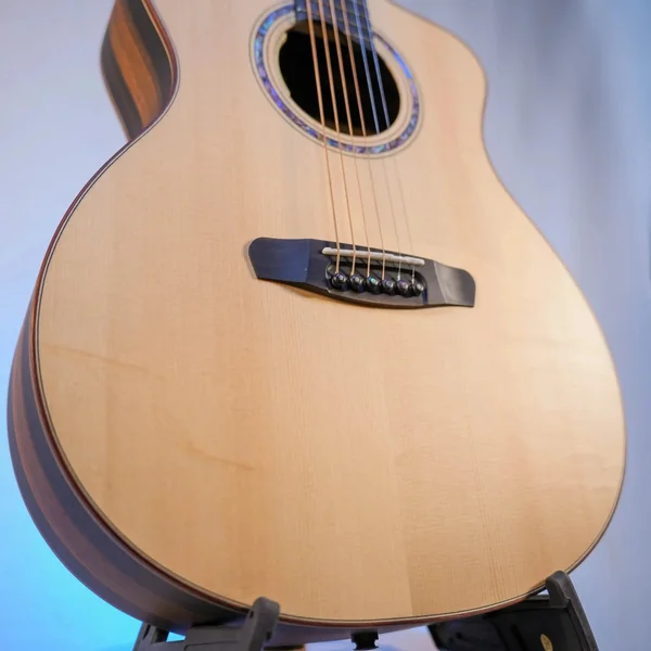 Guitare Dowina Ebony X GACE
