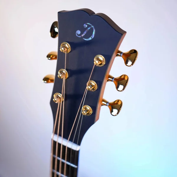 Guitare Dowina Ebony X GACE