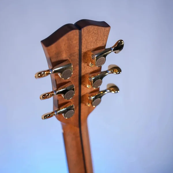 Guitare Dowina Ebony X GACE