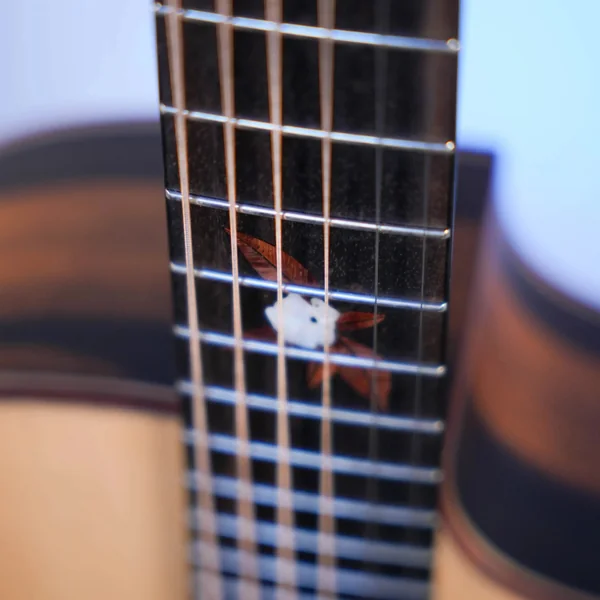 Guitare Dowina Ebony X GACE