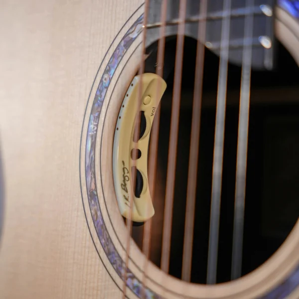 Guitare Dowina Ebony X GACE