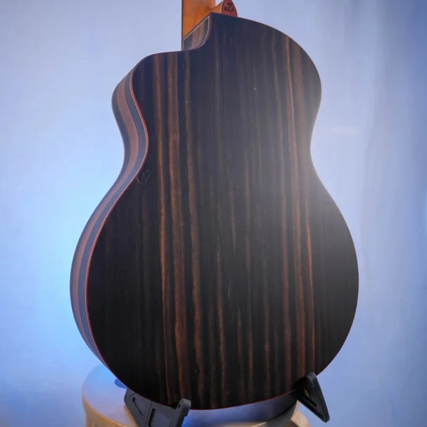 Guitare Dowina Ebony X GACE