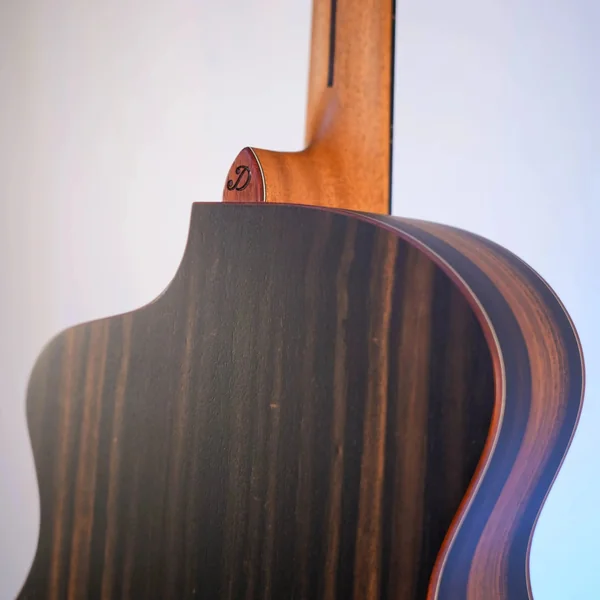 Guitare Dowina Ebony X GACE