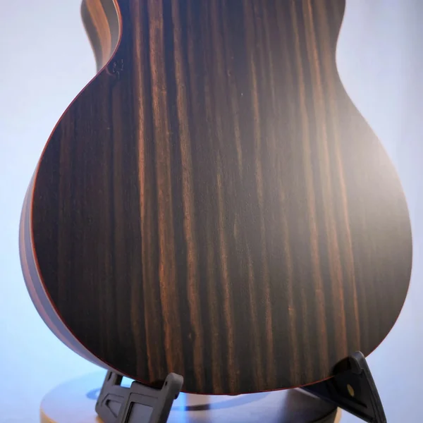 Guitare Dowina Ebony X GACE