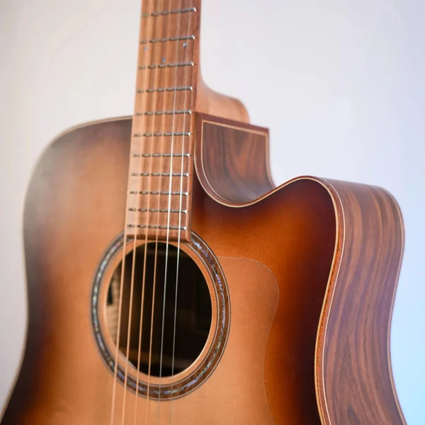 Guitare Dowina Granus DCE