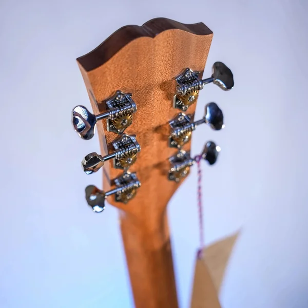 Guitare Dowina Granus DCE