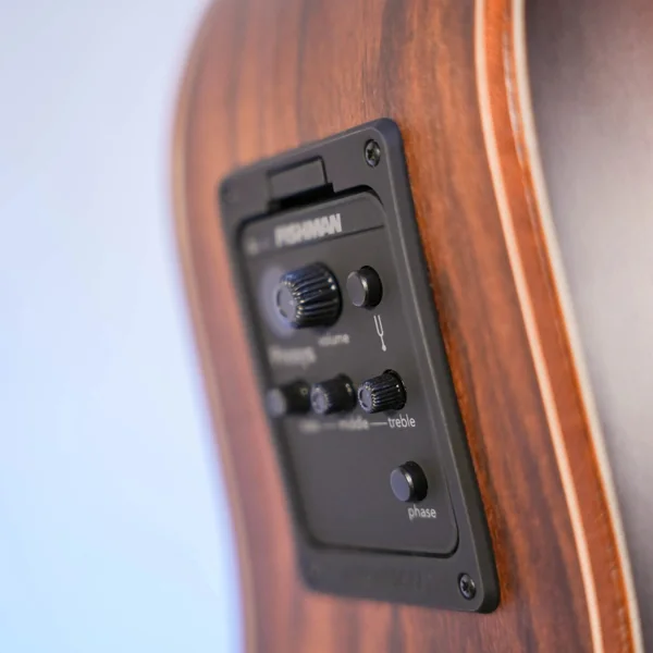 Guitare Dowina Granus DCE