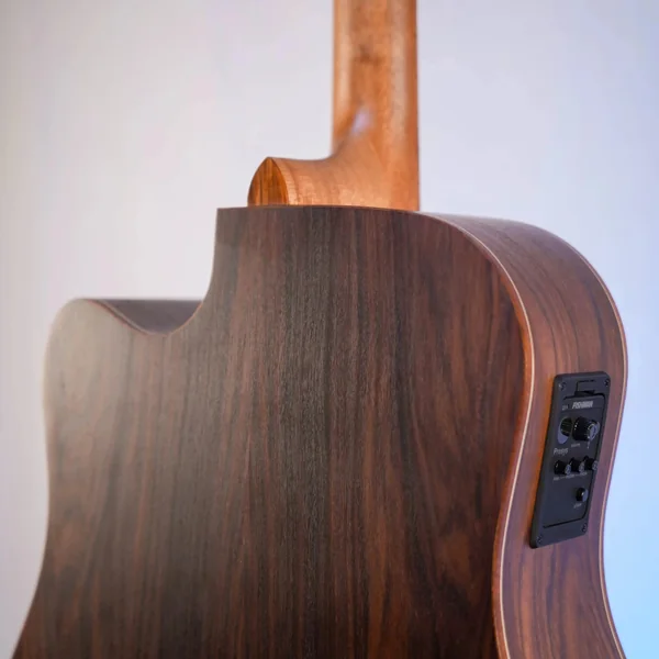 Guitare Dowina Granus DCE