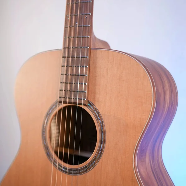 Guitare Dowina Granus O