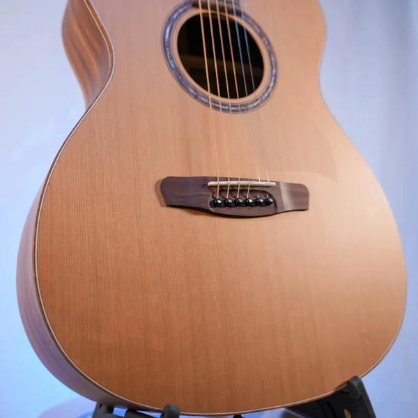 Guitare Dowina Granus O