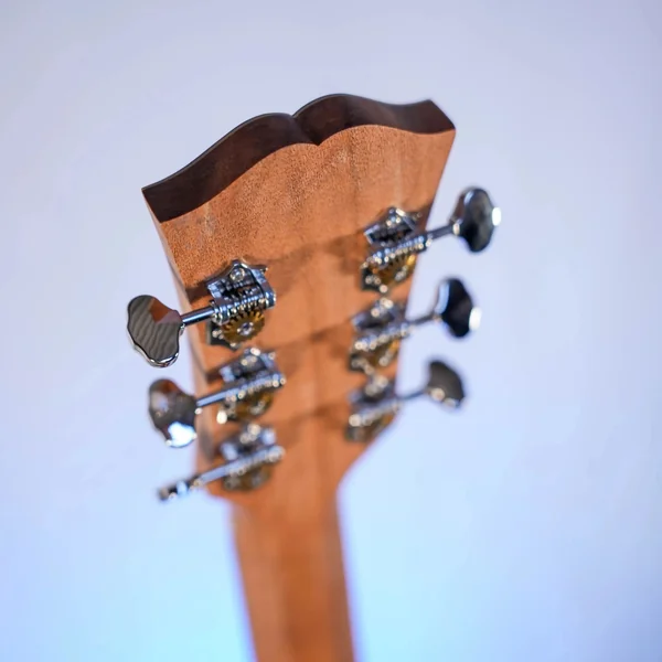 Guitare Dowina Granus O