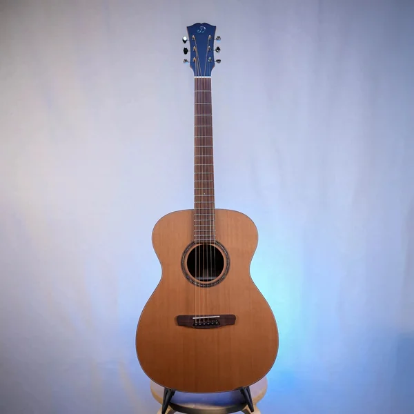 Guitare Dowina Granus O