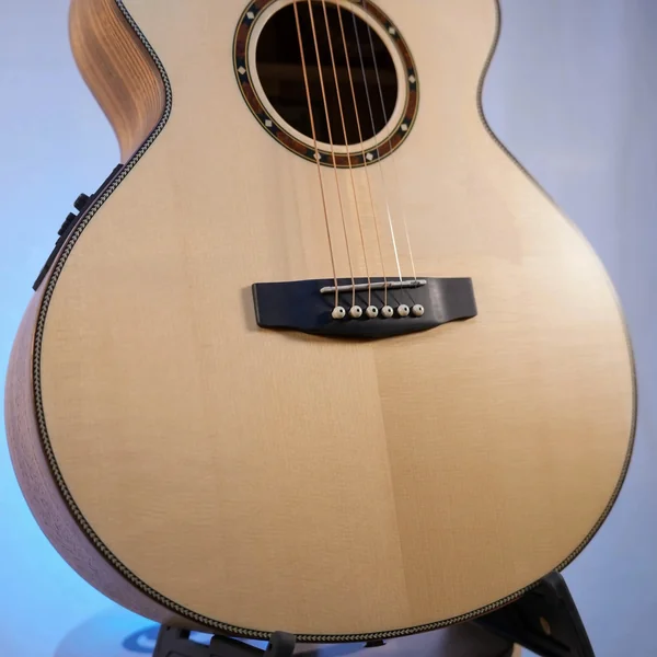 Guitare Dowina Marus GACE