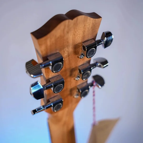 Guitare Dowina Marus GACE
