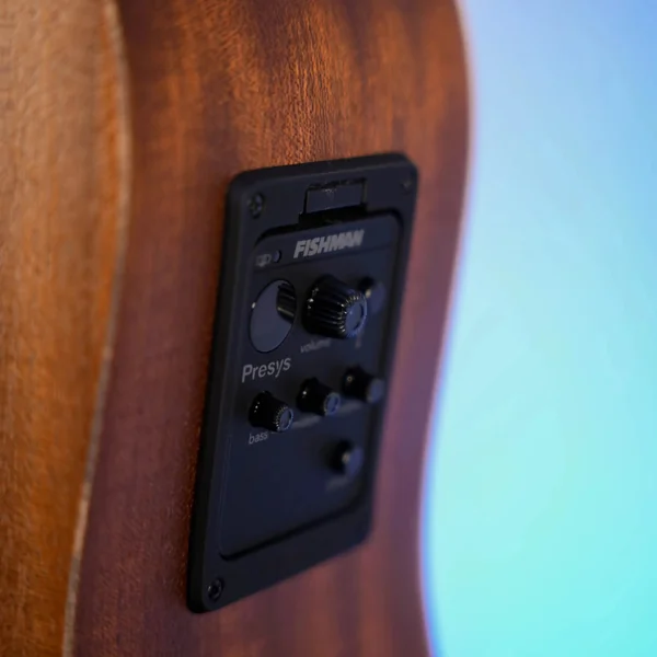 Guitare Dowina Puella DCE