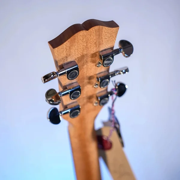 Guitare Dowina Puella GACE