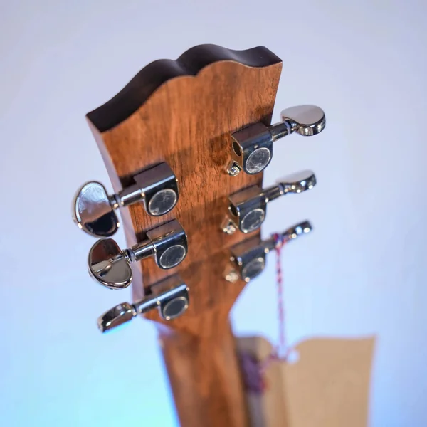 Guitare Dowina Rustica GA