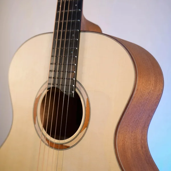 Guitare Dowina Sauvignon GA