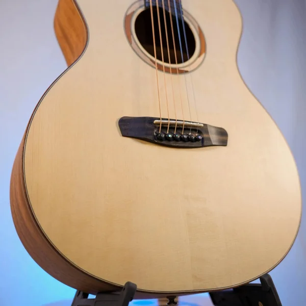 Guitare Dowina Sauvignon GA
